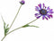 Silk-ka Kunstbloem-Zijden Bloem Margriet Steel Paars 55 cm Voordeelaanbod Per 2 Stuks