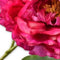 Silk-ka Kunstbloem-Zijden Bloem Pioen Tak Beauty 79 cm