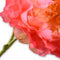 Silk-ka Kunstbloem-Zijden Bloem Pioen Tak Zalm-Roze 79 cm