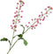 Silk-ka Kunstbloem-Zijden Bloem Primula Tak Roze 85 cm