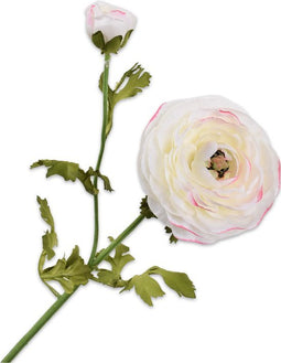 Silk-ka Kunstbloem-Zijden Bloem Ranonkel Steel Crème 63 cm Voordeelaanbod Per 2 Stuks