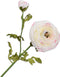 Silk-ka Kunstbloem-Zijden Bloem Ranonkel Steel Crème 63 cm Voordeelaanbod Per 2 Stuks