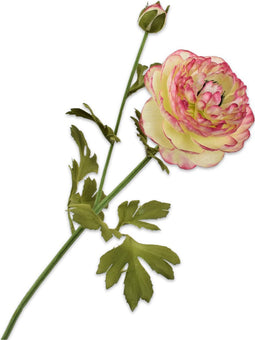Silk-ka Kunstbloem-Zijden Bloem Ranonkel Steel Groen-Roze 65 cm Voordeelaanbod Per 2 Stuks