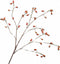 Silk-ka Kunstbloem-Zijden Bloem Rozenbottel Tak Oranje 106 cm