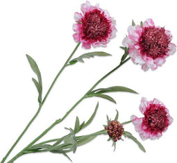 Silk-ka Kunstbloem-Zijden Bloem-Scabiosa Tak Zijde Rood-Roze 80 cm