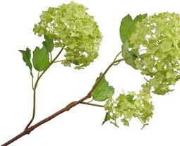 Silk-ka Kunstbloem-Zijden Bloem Sneeuwbal Tak Groen 107 cm