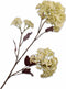 Silk-ka Kunstbloem-Zijden Bloem Sneeuwbal Tak Groen 69 cm