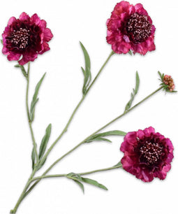 Silk-ka Kunstbloem-Zijden Bloemen Scabiosa Tak Paars-Roze 80 cm