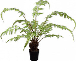 Silk-ka Kunstplant Varen Zijde Groen 90 cm
