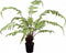 Silk-ka Kunstplant Varen Zijde Groen 90 cm
