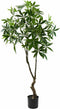 Silk-ka Kunstplant voor Binnen Pachira Groen 180 cm