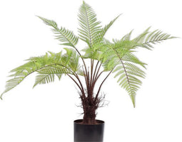 Silk-ka Kunstplant voor Binnen Varen Groen 86 cm