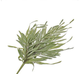 Silk-ka Kunstplant voor Binnen Vetplant Groen 71 cm