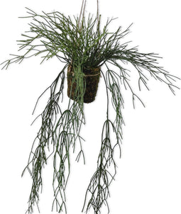 Silk-ka Kunstplant voor Binnen Vetplant Groen 83 cm