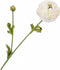 Silk-ka Ranonkel Tak Creme 139674