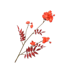 Silk-ka Silk-ka Kunstbloemen Bloesemtak Oranje 86cm 140808