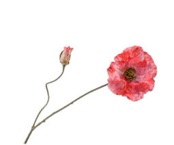 Silk-ka Silk-ka Kunstbloemen Klaproos Papaver Rood Roze Beauty 143044