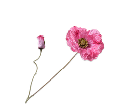 Silk-ka Silk-ka Kunstbloemen Klaproos Papaver Steel Roze 143022