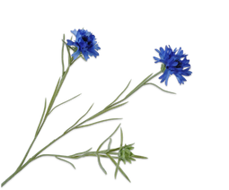 Silk-ka Silk-ka Kunstbloemen Korenbloem Tak Blauw 132162
