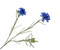 Silk-ka Silk-ka Kunstbloemen Korenbloem Tak Blauw 132162