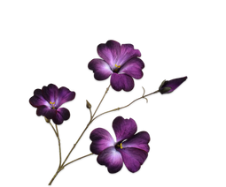 Silk-ka Silk-ka Kunstbloemen Petunia Tak Donker Paars 146053