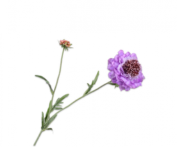 Silk-ka Silk-ka Kunstbloemen Scabiosa Lavendel Paars 149122