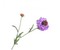 Silk-ka Silk-ka Kunstbloemen Scabiosa Lavendel Paars 149122