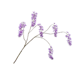 Silk-ka Silk-ka Zijden Kunstbloemen Wisteria Tak Paars 146350