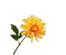 Silk-ka Silk-ka Zijden Kunstbloemen Dahlia Geel 150561