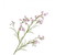 Silk-ka Silk-ka Zijden Kunstbloemen Datura Trompetbloem Roze 149326