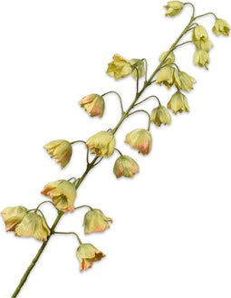 Silk-ka Zijden Bloem-Kunstbloem Fritillaria Steel Groen 95 cm