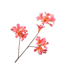 Silk-ka Zijden Bloem-Kunstbloem Mandevilla Tak Roze 86 cm