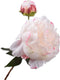 Silk-ka Zijden Bloem-Kunstbloem Pioen Tak Crème-Roze 55 cm