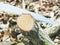 Silky Bigboy 2000 360-6.5 - Grote Vertanding