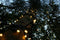Silver wing links Cluster verlichting 2M - zwarte kabel - warmwit - koppelbare verlichting