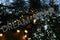 Silver wing links Cluster verlichting 2M - zwarte kabel - warmwit - koppelbare verlichting