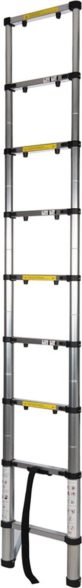 Silverline Telescopische ladder - 9 treeds - Werkhoogte 2.60m -