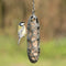 Singing Friend - 100% gerecyclede Mezenbolhouder