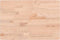 vidaXL - Wastafelblad - 60x40x2,5 - cm - massief - beukenhout