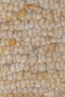 Sirmione 26 Vloerkleed - 60x90 - Rechthoek - Laagpolig,Structuur Tapijt - Industrieel - Beige, Geel