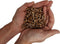SIRO - Pellets voor Pelletkachel - 15 kg - Pellets van Naaldhout/Dennenhout - Biobrandstof - Hoog rendement met weinig asresten