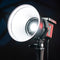 Sirui Daglicht LED Spot Lamp C60