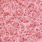 SizzlePak® Vulmateriaal, Papier, 1,25kg, roze