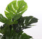 Mica Decorations Monstera Kunstplant in Pot - H100xØ75 cm - Set van 2