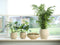 Ter Steege Plantenpot - moderne look - beige - 26 x 25 cm - bloempot