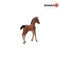 Schleich Paarden - Hanover Veulen 13818