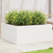 vidaXL - Plantenbak - 110x110x46 - cm - massief - grenenhout - wit