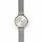 Skagen Anita SKW2340 Dameshorloge 30 mm - Goudkleurig