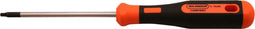 Skandia Schroevendraaier 2K - TX 10 x 85 mm