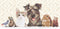 Diamondpainting Crystal Art Kaart Dierenfamilie 11x22cm